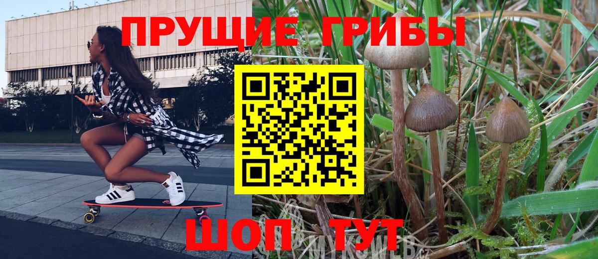 Галлюциногенные грибы Cubensis Минеральные Воды